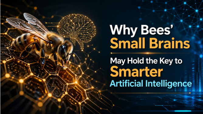 Why Bees’ Small Brains May Hold the Key to Smarter Artificial Intelligence